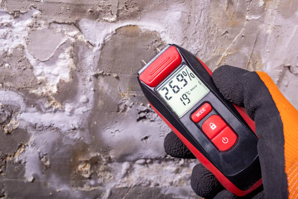 Best Best Mold Removal Companies  in Golden Valley, AZ
