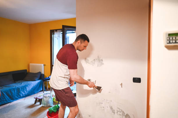 Best Black Mold Removal  in Golden Valley, AZ